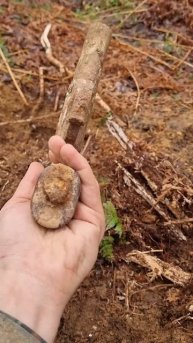 Нашли немецкий пистолет, раскопки