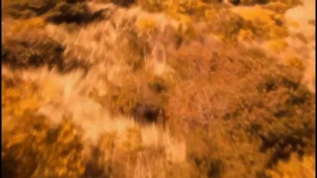 The Mars Underground 66 HD смотреть онлайн