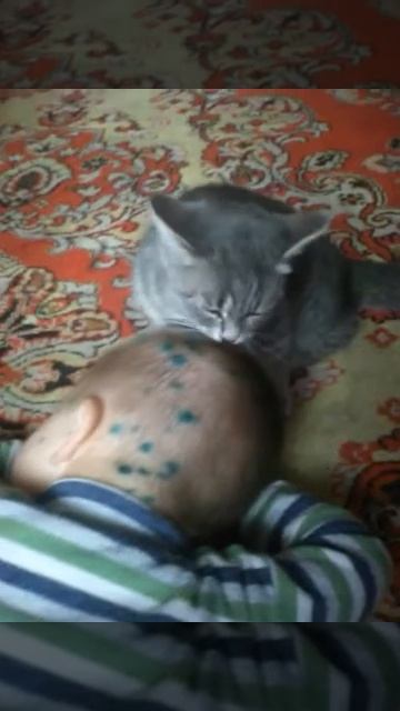 Кот лечит ветрянку. смотреть онлайн