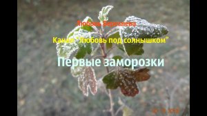Первые заморозки