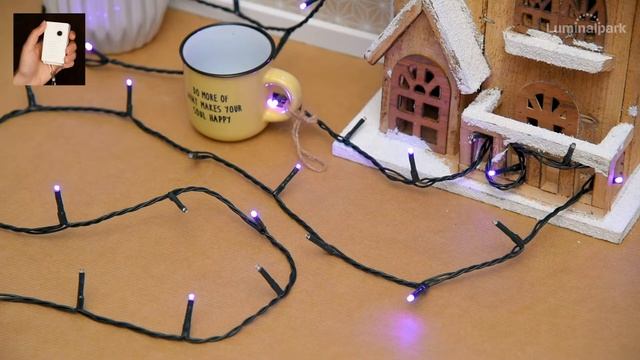 Guirnalda de luces Mini Led 25,5 metros (cod. 40939) смотреть онлайн