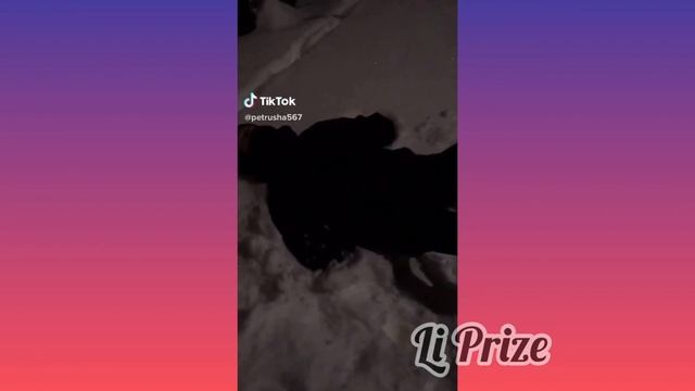 💕SLADKIE PARY #1💕2 сезон МИЛЫЕ ПАРЫ В ТИКТОК ЛУЧШЕЕ ПОДБОРКИ ТИКТОК НОВЫЕ ВИДЕО ЛЮБОВЬ LIPRIZE смотреть онлайн