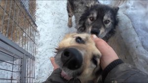 Съест ли Горец Ёжика???