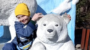 гуляем по Новосибирскому зоопарку - посмотрим белых медведей и пингвинов