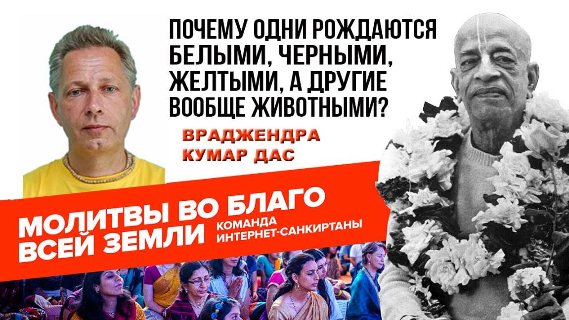Почему одни рождаются белыми, черными, желтыми, а другие вообще животными?