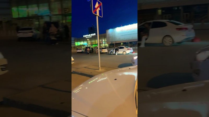 Если интересно за кем мы приехали приходите на стрим #приютхвостатоесчастье