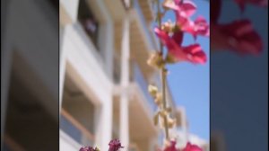 Pickalbatros Dana Beach Resort Hurghada Hotel