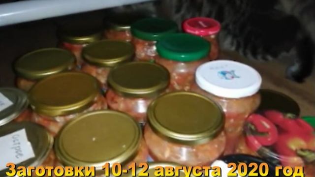 Заготовки на зиму.  Хроника 10-12 августа 2020 год