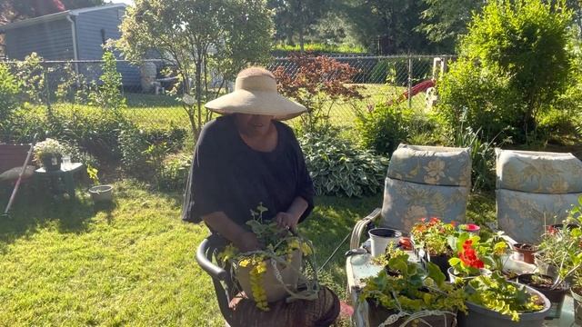 Lowe’s Clearance/Planting pots and Hanging Baskets