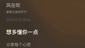 Лю Юйнин - 风在吹 / Feng Zai Chui / Ветер дует 23.01.2020