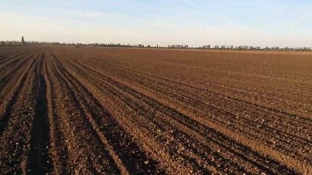 Посевная пшеницы 2018  | Deutz-Fahr  G115 and AMAZONE D9