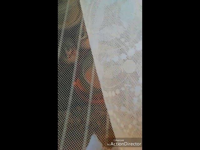 Цветет слива ... смотреть онлайн