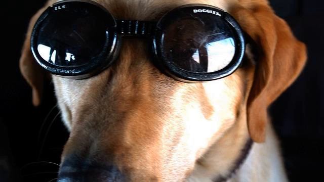 Топ лучших русских хитов музыки и видео - класс!