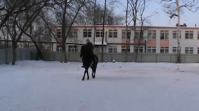 Квалификация для верховой езды. Разбойница и Плакса