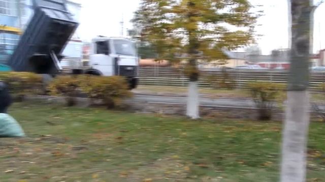 Демонтируют «фабричную» остановку и убирают листья: Добруш продолжает совершенствоваться смотреть онлайн