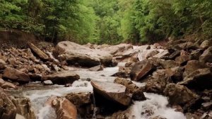 Проблемы без алкоголя решаются быстрее и проще.