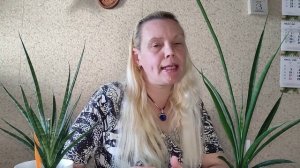 Различия/общее у сансевиерий Парва - Комет Кичаки #сансевиерия #sansevieria #snakeplant