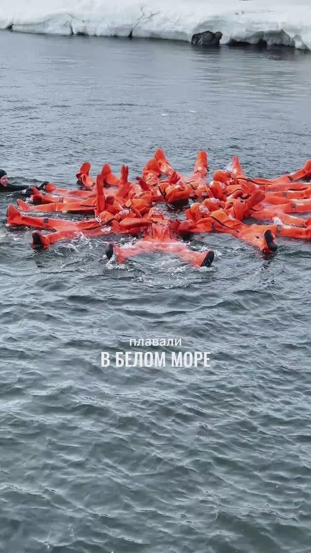 Арктика. На краю земли