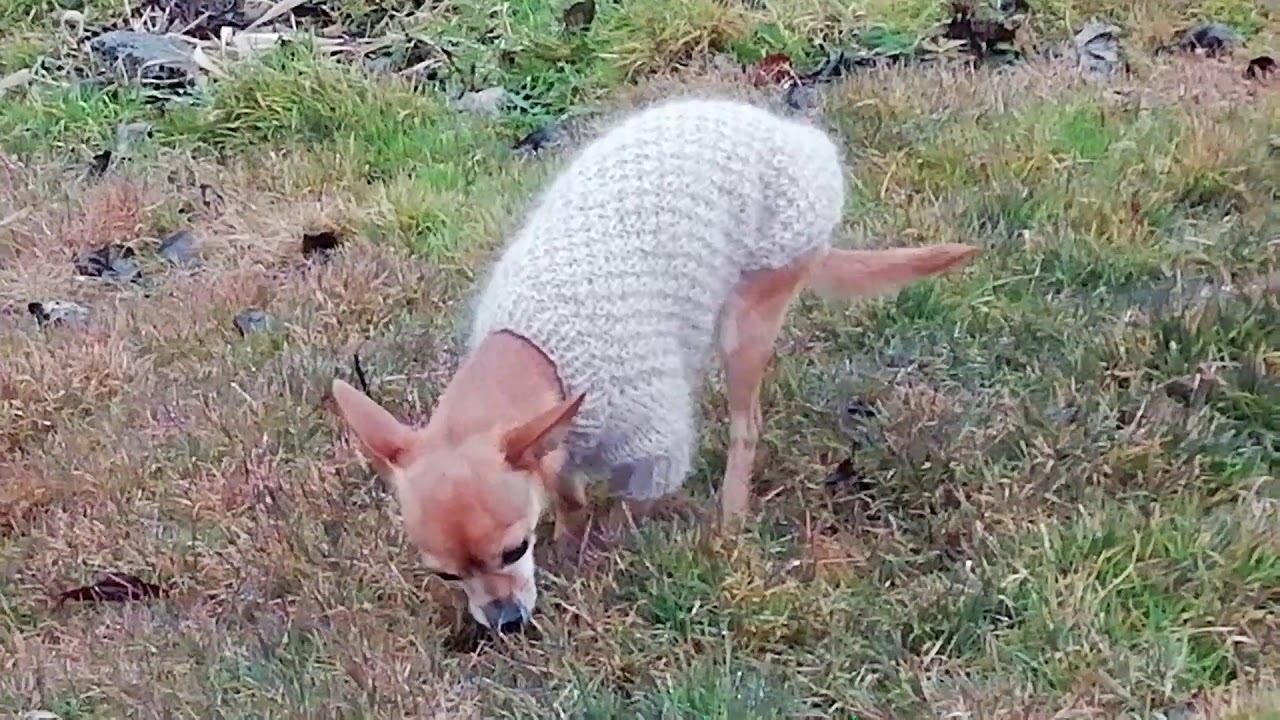 У Лизы обнова! ❤️ смотреть онлайн