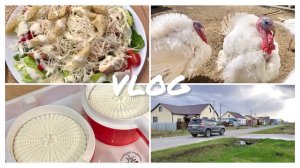 «БРЫНЗА» из КОЗЬЕГО молока / «ЦЕЗАРЬ по-Ильински»