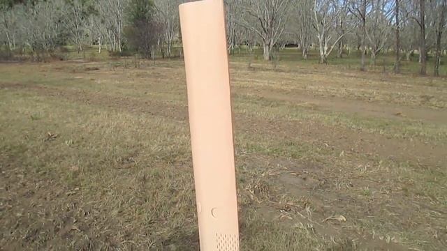 How To Plant a Dunstan Chestnut Tree смотреть онлайн