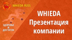 Презентация компании WHIEDA - Ильнур Айсулов