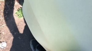 ЛАЙФХАК ПО ПЕРЕГОНУ АВТО ИЗ ВЛАДИВОСТОКА. LIFEHACK ЗЕЛЕНЫЙ УГОЛ. ЗАЩИТА АВТОМОБИЛЯ.