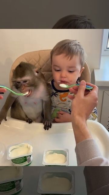 13 мая 2021 г. смотреть онлайн