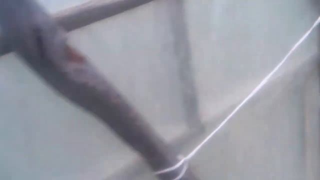 Высадка клубники в теплицах, перед зимой