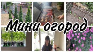 🌱Высаживаю рассаду в мини-огород. .💥Ночные посиделки