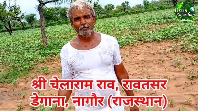 मूंग की फसल में यूरिया का छिड़काव कब व कितना करें। कौनसी खाद डालें। मुंग की खेती कैसे करें। राजस्था