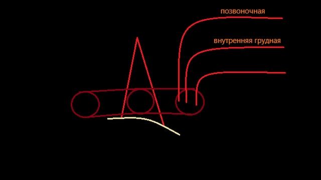 Межлестничный и предлестничный промежутки - Топографическая анатомия