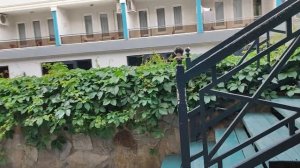 Турция🇹🇷 Аланья🌴 17.05.2024.. Обзор отеля Blue star.