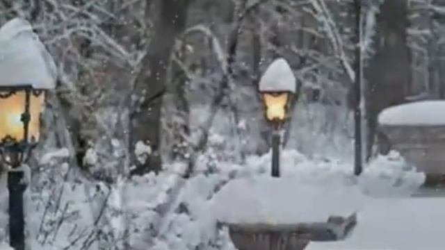 САЛЬВАТОРЕ АДАМО   ПАДАЕТ СНЕГ