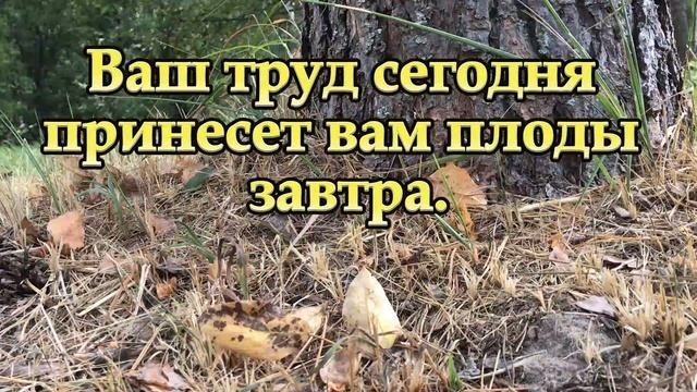 Мотивирующие фразы на все случаи жизни