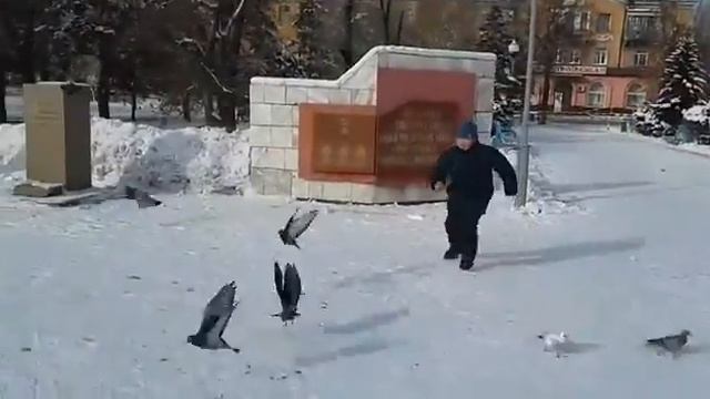 Каратисты 71 лицей(11) смотреть онлайн