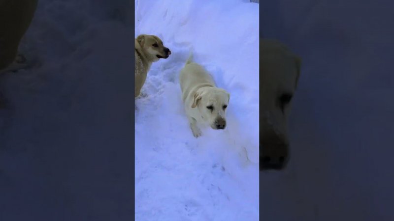 Утро начинается с поигрулек)))