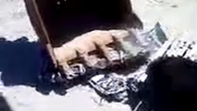 folding a pruple s13 silvia смотреть онлайн