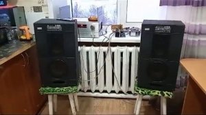 колонки радиотехника s-50B середину в противофазе остальное в заводском исполнение басс мощный