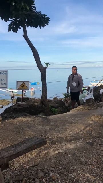 Китовые акулы, Бохол, Филиппины смотреть онлайн