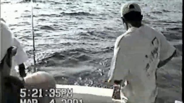 900 + pound Black Marlin смотреть онлайн
