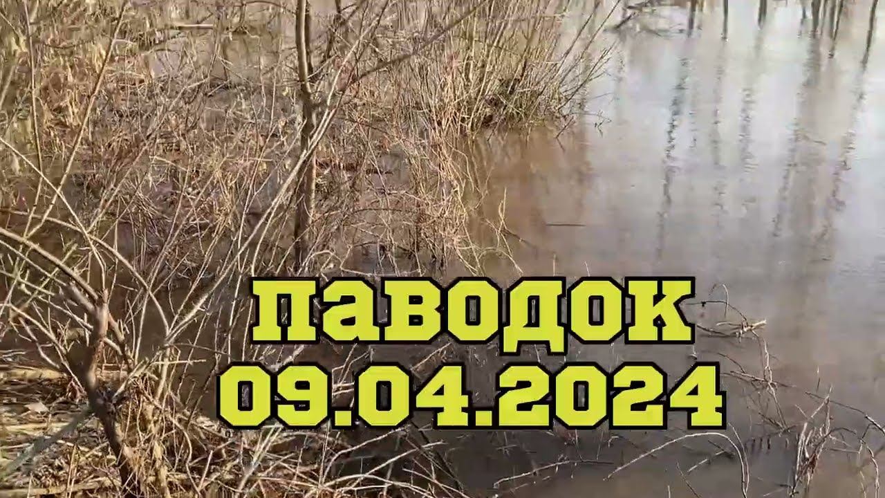 Паводок 9 апреля 2024 г. смотреть онлайн