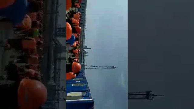 АМУРИСКИ РЕНАСАНИС КОЗГОЛОН смотреть онлайн