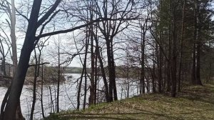 красота родного края #природа