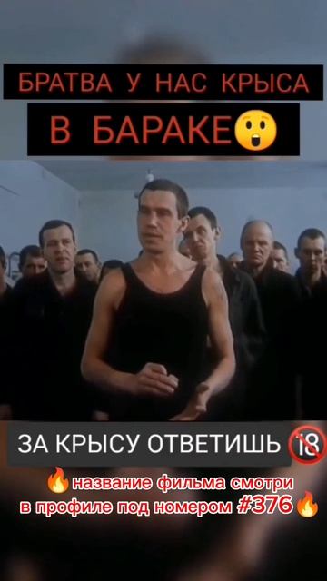 братва у нас крыса в бараке #рекомендации #фильмы #shorts смотреть онлайн
