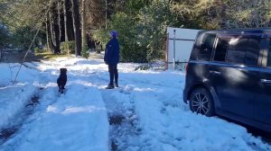 Последствия снегопада в Сочи / Consecuencias de nevada en Sochi, Rusia