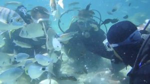 Turkey / Marmaris 2015 Diving