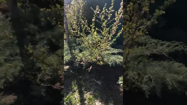 17 мая 2024 г. смотреть онлайн