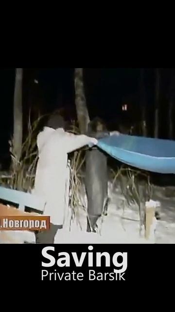 Rescue of the cat \ Saving Private Barsik \ Солдат спас кота #shorts смотреть онлайн