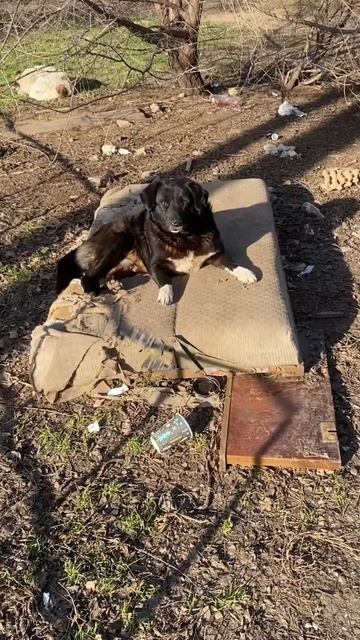 #астрахань узнали??? #shorts смотреть онлайн